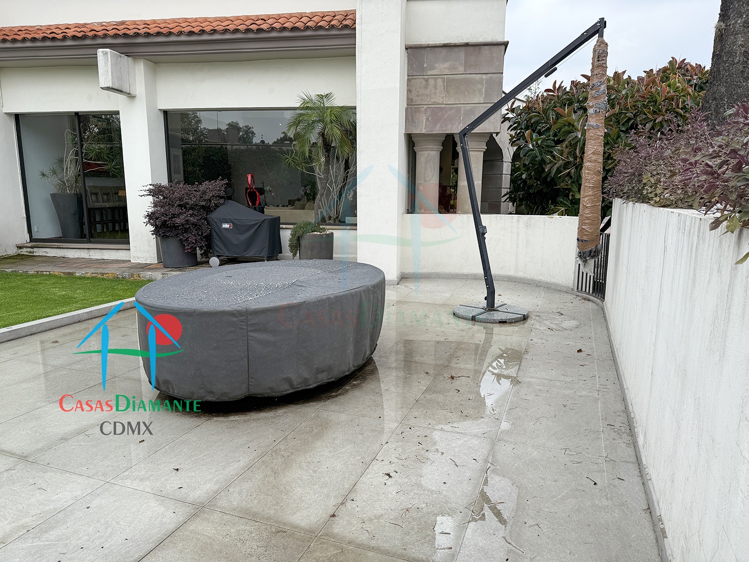 Jardines del Pedregal Casa Árbol B - Jardín 4